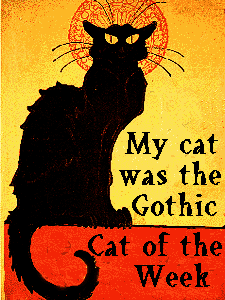 Gothic Cat of the Week