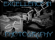 Excellence in Photography
