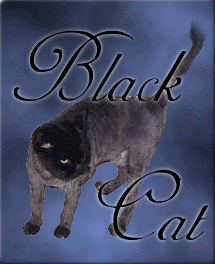 Black Cat